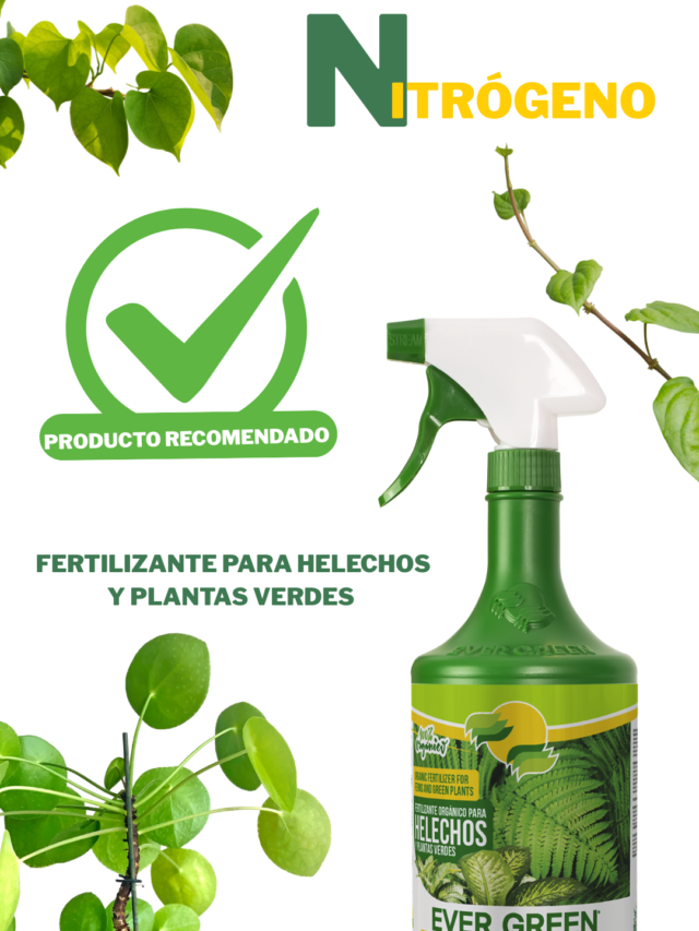 FERTILIZANTE PARA HELECHOS Y PLANTAS VERDES