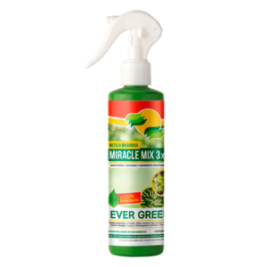 cropped productos ever green 20260313 082630 0000 1.png