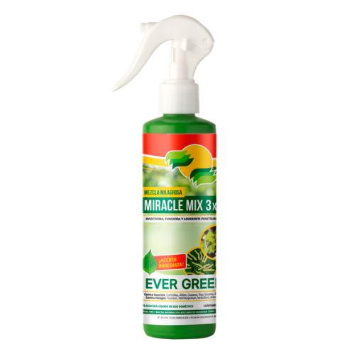 cropped productos ever green 20260313 082630 0000 1.png