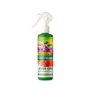 cropped productos ever green 20260313 083108 0000.png