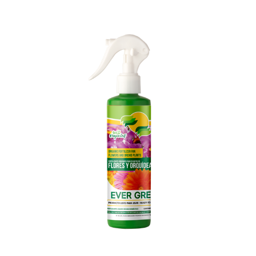 cropped productos ever green 20260313 083108 0000.png