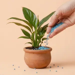 PRODUCTOS PARA PLANTAS