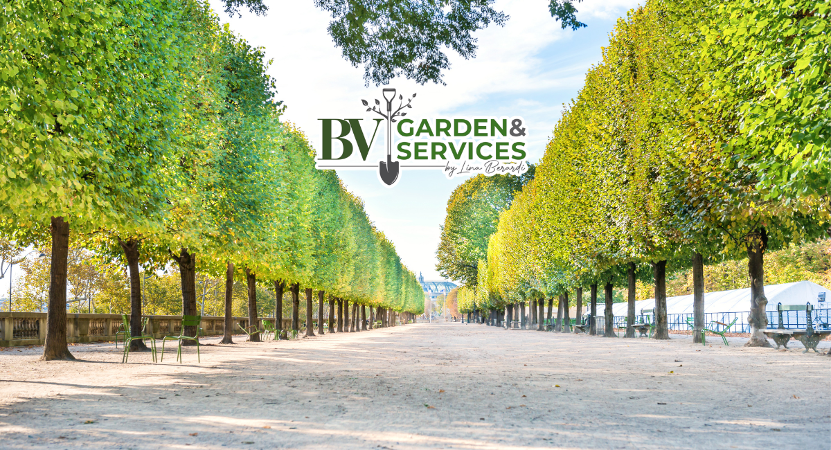 BV GARDEN SHOP
