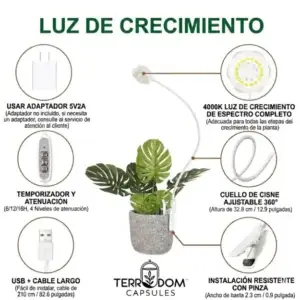 LUZ DE CRECIMIENTO