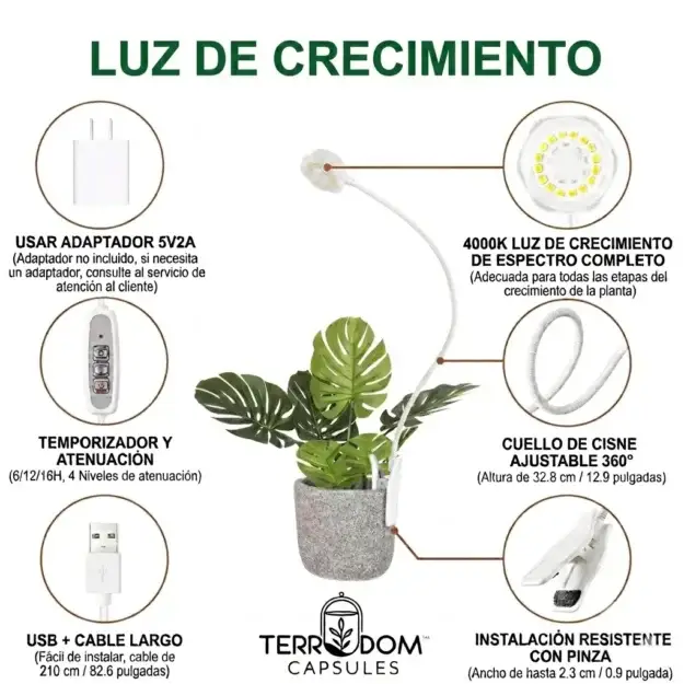 LUZ DE CRECIMIENTO